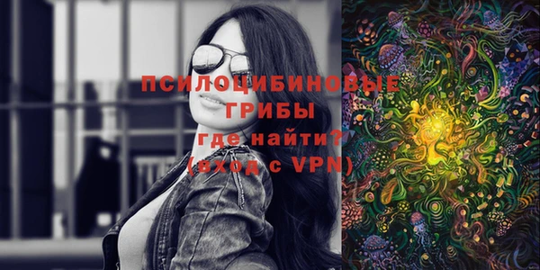 прущая мука Абаза
