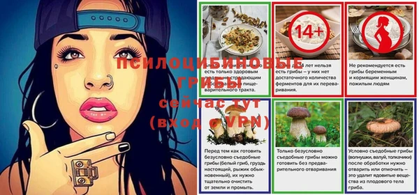 прущая мука Абаза