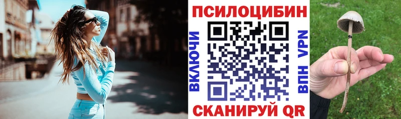 blacksprut ONION  дарнет шоп  Зеленогорск  Галлюциногенные грибы GOLDEN TEACHER 